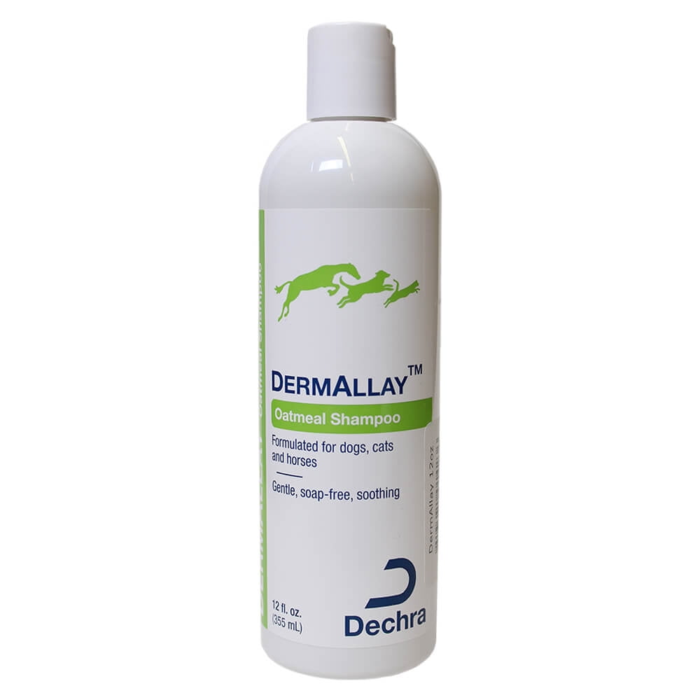 DermAllay Oatmeal Shampoo for Dogs, Cats, and Horses, 12 fl oz