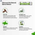 thumbnail image 2 of Herbion Nasal Inhaler, Non-Medicated, 0.05 Fl Oz (1.5ml) - Menthol, Clove Oil, Eucalyptus Oil & Camphor, 2 of 6
