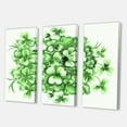 thumbnail image 3 of Designart ' Green Vintage Leaves of Shamrock ' Traditional Canvas Wall Art Print, 3 of 3