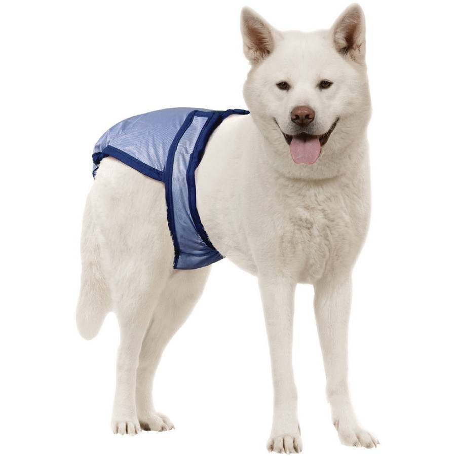 PoochPants Reusable Dog DiaperLarge33 To 55lbs Walmart Canada