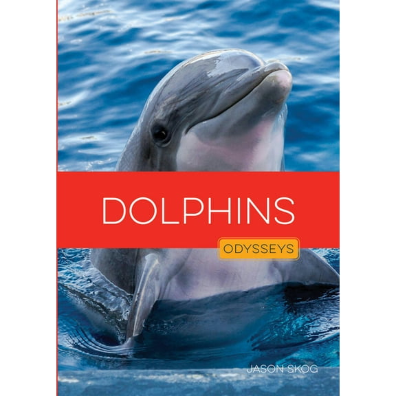 Dolphins, (Paperback)