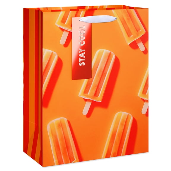 American Greetings Medium Orange Creamsicle Gift Bag with Tag (1 Bag, 12.75 in. x 10 in.)