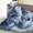 40*30In/76*102cm, variant on 1 piece wolf print blanket | Soft plush all-season thermal bedspread, wolves roar under the moon design, suitable for beds, home decor - ideal for wolf lovers and nature-themed interiors