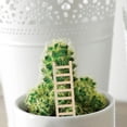 thumbnail image 4 of GOOHOCHY 2Set Mini Ladder Home Decor Beige Wood for Miniature Landscape, 4 of 8