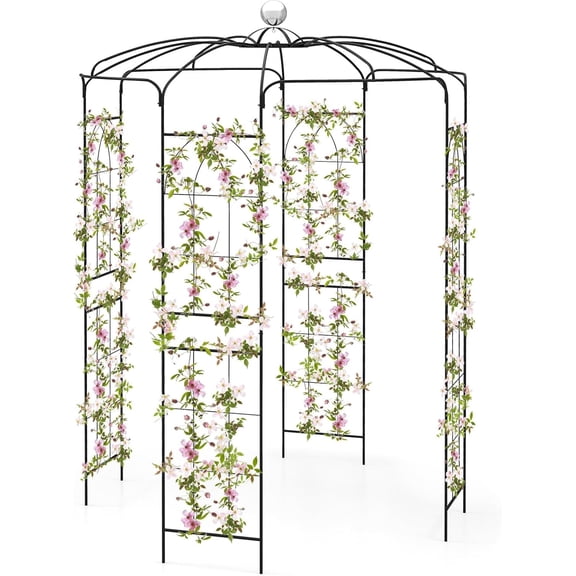 LINJH Birdcage Shape Garden Arbor, 9.4 x 6.8FT Heavy Duty Gazebo with Hanging Hook for Climbing Plants, Outdoor Arch Pergola Pavilion for Wedding Party Ceremony Decoration