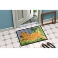 thumbnail image 4 of Norwich Terrier Door Mat Doormat, 4 of 4