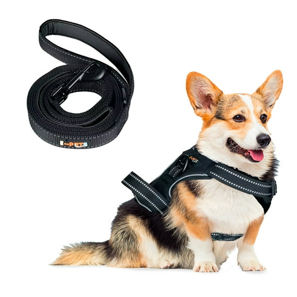 Pechera Arnes E-Pets + Correa Color Negro para Perro Mediano Ajustable Antitirones