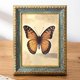 thumbnail image 5 of Vintage Picture Frame, Decorative Wall Hanging and Tabletop Display Photo Frame White 5in, 5 of 5