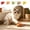 Green, variant on UALSRZL Cat Toys, Fruit Themed Furry Cat Mouse Toy, Realistic Interactive Mouse Toys for Cats Indoor Kittens Boredom Busting,​ Red