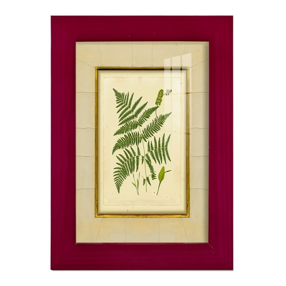 Fern with Crackle Mat (H) IV - Framed Print w/glass - Cherry Red