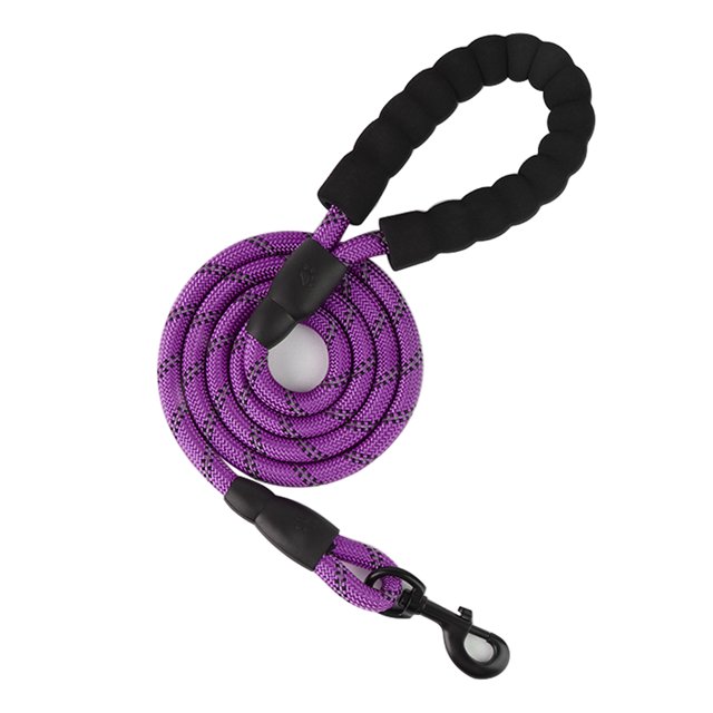 6.5FT Dog Leash with Comfortable Padded Handle and Highly Reflective Threads for Medium and Large Dogs