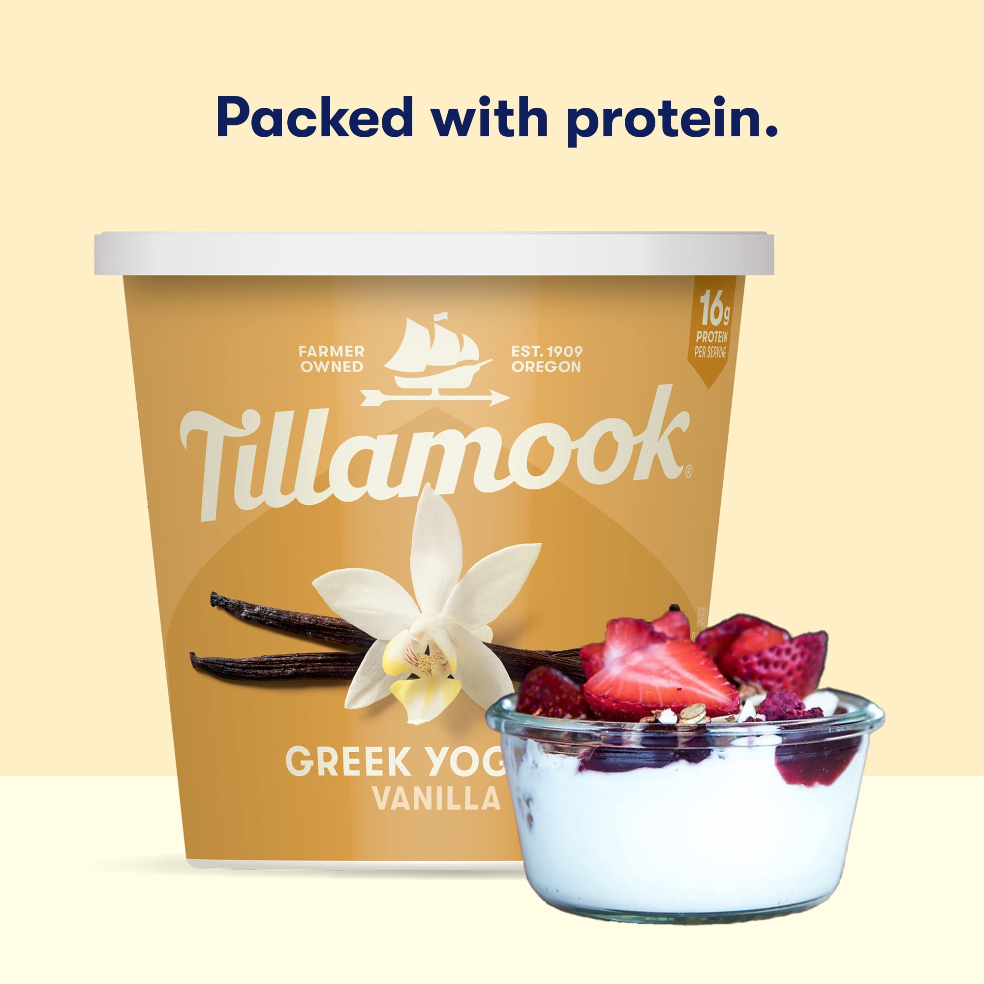 Tillamook Vanilla Greek Yogurt, Blended, 16g Protein per Serving, 24 oz Tub