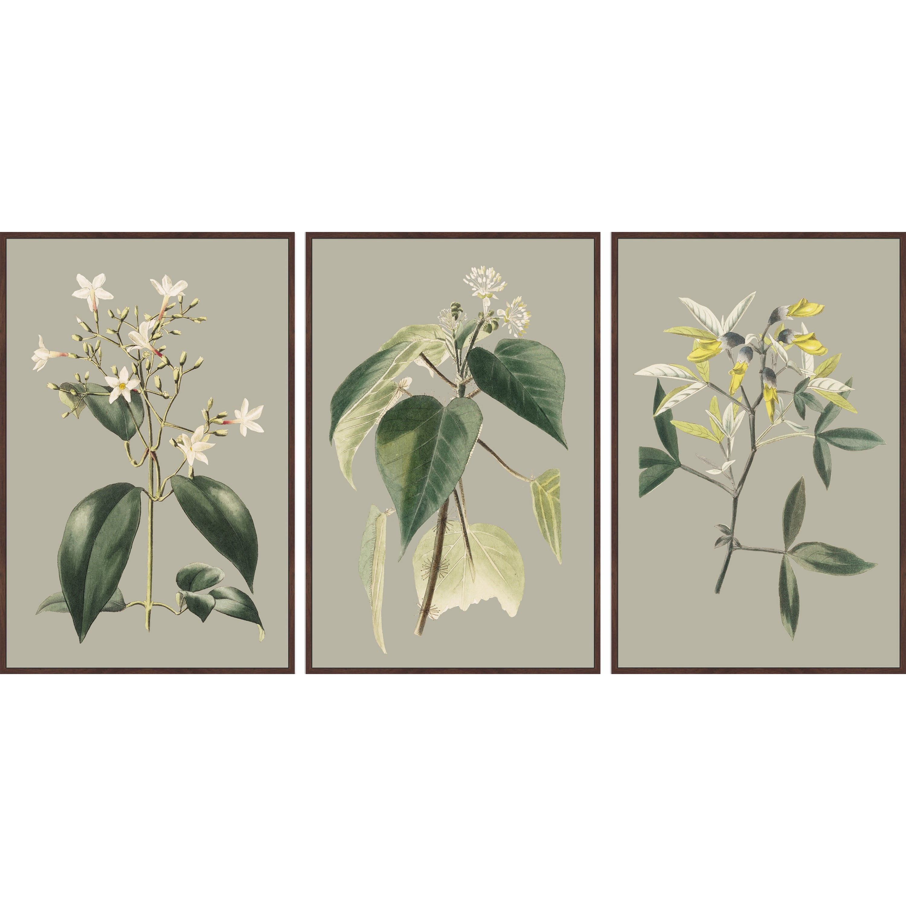 Marmont Hill Tiny Blooms Triptych