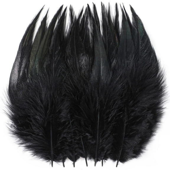 200Pcs Craft Feathers Bulk 5-7inch Rooster Feathers for DIY Crafts, Dream Catcher and Holiday Party Costume Decorations (Black)