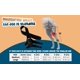 thumbnail image 3 of Rodillera para perros HAPPY PETS CO ajustable para ligamento cruzado, 3 of 9