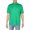 Cruise Green, variant on Polo Ralph Lauren Mens Cotton Collared Polo