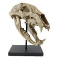thumbnail image 2 of Ebros Faux Taxidermy Black Bear Skull Baring Teeth Statue On Pole Mount Display, 2 of 8