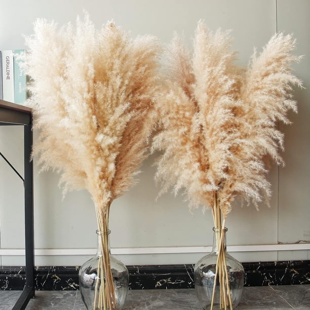 Tallos de Decoración de Hierba de la Pampa, Hierba de la Pampa Grande Floral Seca Natural para Bodas, Fiestas, Casas de Campo, Decoración del Hogar Boho