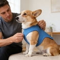 thumbnail image 3 of Vest Belt Evaporative Jacket Comfortable And Adjustable Breathable Jacket Suitable For Small And Medium Sized Cat Shirts Suitable For Walking, 3 of 8