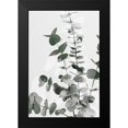 thumbnail image 1 of Artographie Studio 17x24 Black Modern Framed Museum Art Print Titled - Eucalyptus Creative 06, 1 of 4