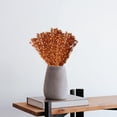 thumbnail image 4 of Tallos Artificiales Bayas Plantas de Simulación DIY para Decoración Mesa de Cena Naranja Fernando Tallo de baya feke, 4 of 7