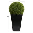 thumbnail image 3 of DecMode 40" Tall Boxwood Ball Artificial Topiary in Realistic Leaves and Black Fiberglass Pot, 3 of 8