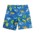 thumbnail image 1 of Odeerbi 2-13 Años Bañadores de Playa Para Niños Bañadores Estampados Bañadores de Secado Rápido Shorts de Natación, 1 of 2