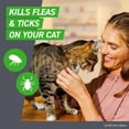 thumbnail image 3 of FRONTLINE Plus for Cats and Kittens Flea and Tick Treatment, 6 Count, 3 of 7