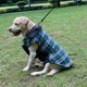 thumbnail image 3 of Ropa para mascotas Ropa de invierno para perros Camisa a cuadros cálida MFZFUKR CPB-US-FXT273-4, 3 of 5