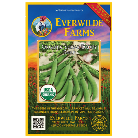 Everwilde Farms - 75 Organic Sugar Daddy Snap Pea Seeds - Gold Vault Jumbo Bulk Seed