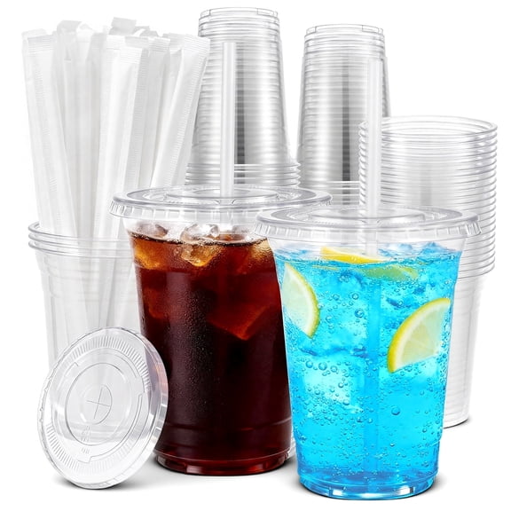 100 Pack 16 oz Clear Plastic Cups with Lids and Straws，Disposable Iced Coffee Cups，To Go Cups