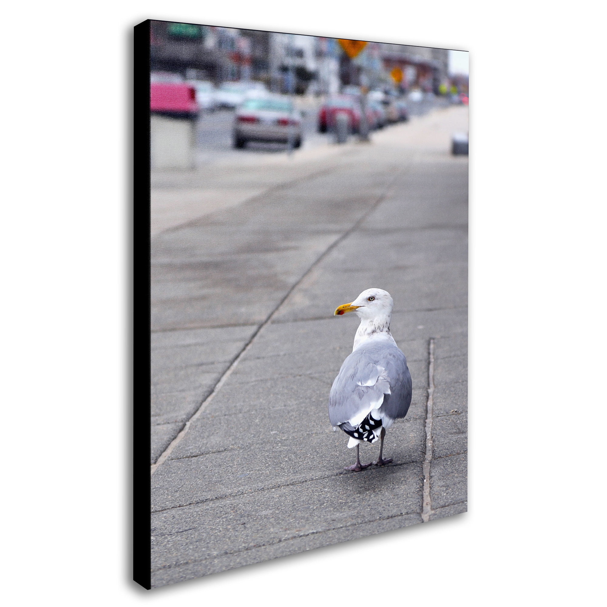 Trademark Fine Art "Boston 4" Canvas Art by CATeyes