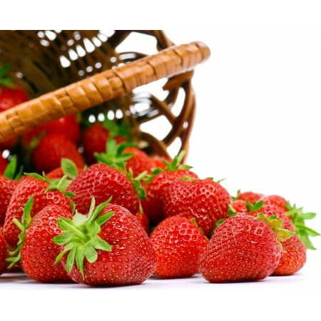 Seascape Everbearing Strawberry 25 Bare Root Plants - BEST (Best Strawberries For Pots)