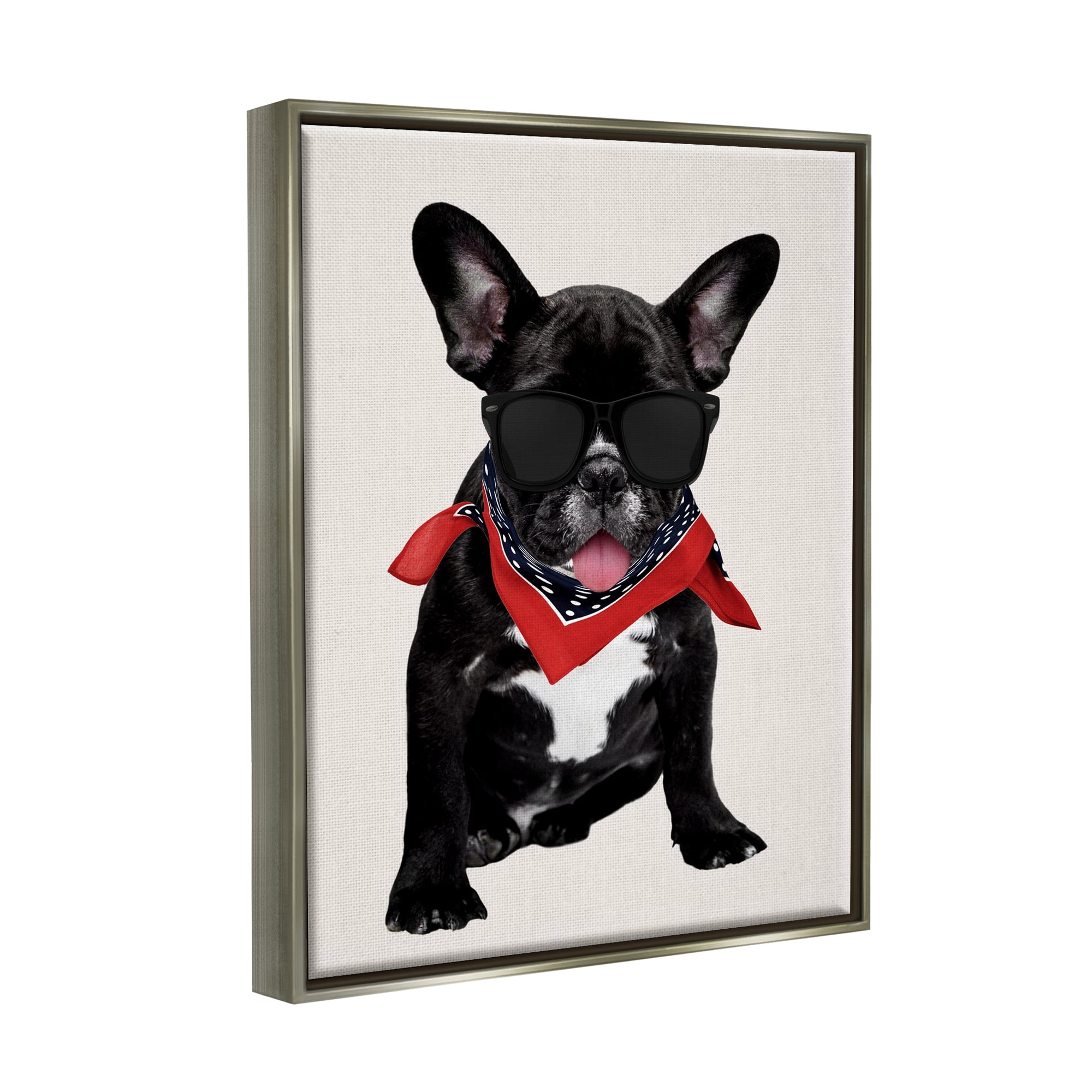 Stupell Cool Dude French Bulldog Pet Animals & Insects Painting Gray Floater Framed Art Print Wall Art