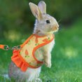 thumbnail image 6 of Adjustable Rabbits Harness with Elastic Leash for Rabbits Skirt Easy Control Rabbits Harness Leash Rabbits, 6 of 9