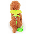 thumbnail image 2 of YIXIGGC Adjustable Kitten Harness and Leash - Angel Wings Cat Leash (Green,S) CW93-1784, 2 of 5