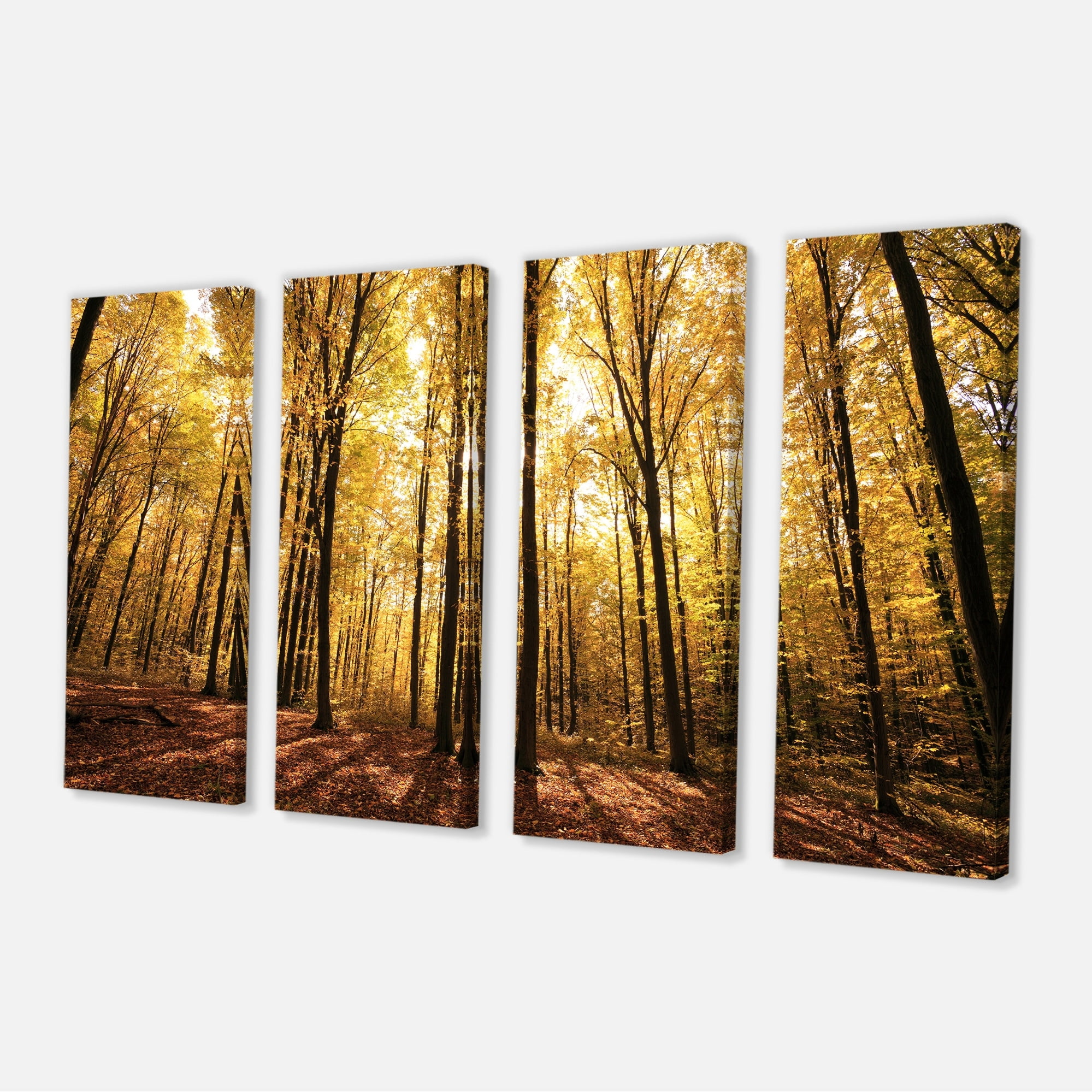WODLAND FOREST LANDSCAPE CANVAS PICTURE PRINT WALL ART A650 