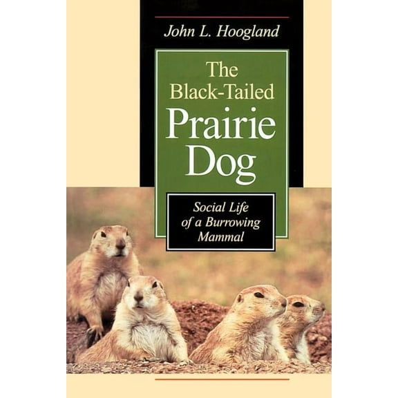 Wildlife Behavior and Ecology series: The Black-Tailed Prairie Dog : Social Life of a Burrowing Mammal (Paperback)