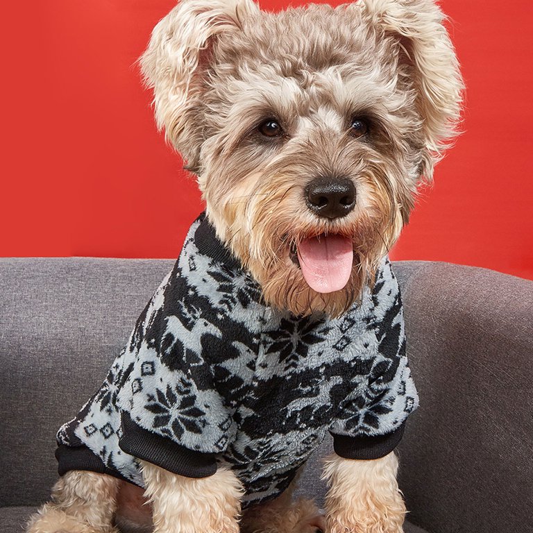 Dog on sale themed sweaters