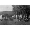 thumbnail image 2 of Vintage Photography 32x23 White Modern Wood Framed Museum Art Print Titled - Forester in Camp with Horses, 2 of 4