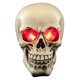 thumbnail image 1 of Estatua de cabeza de esqueleto de Halloween con luces LED, novedad, figura de cabeza de esqueleto de resina, accesorios para casa encantada, escritorio de mesa, decoración para el hogar y la Oficina, 1 of 6