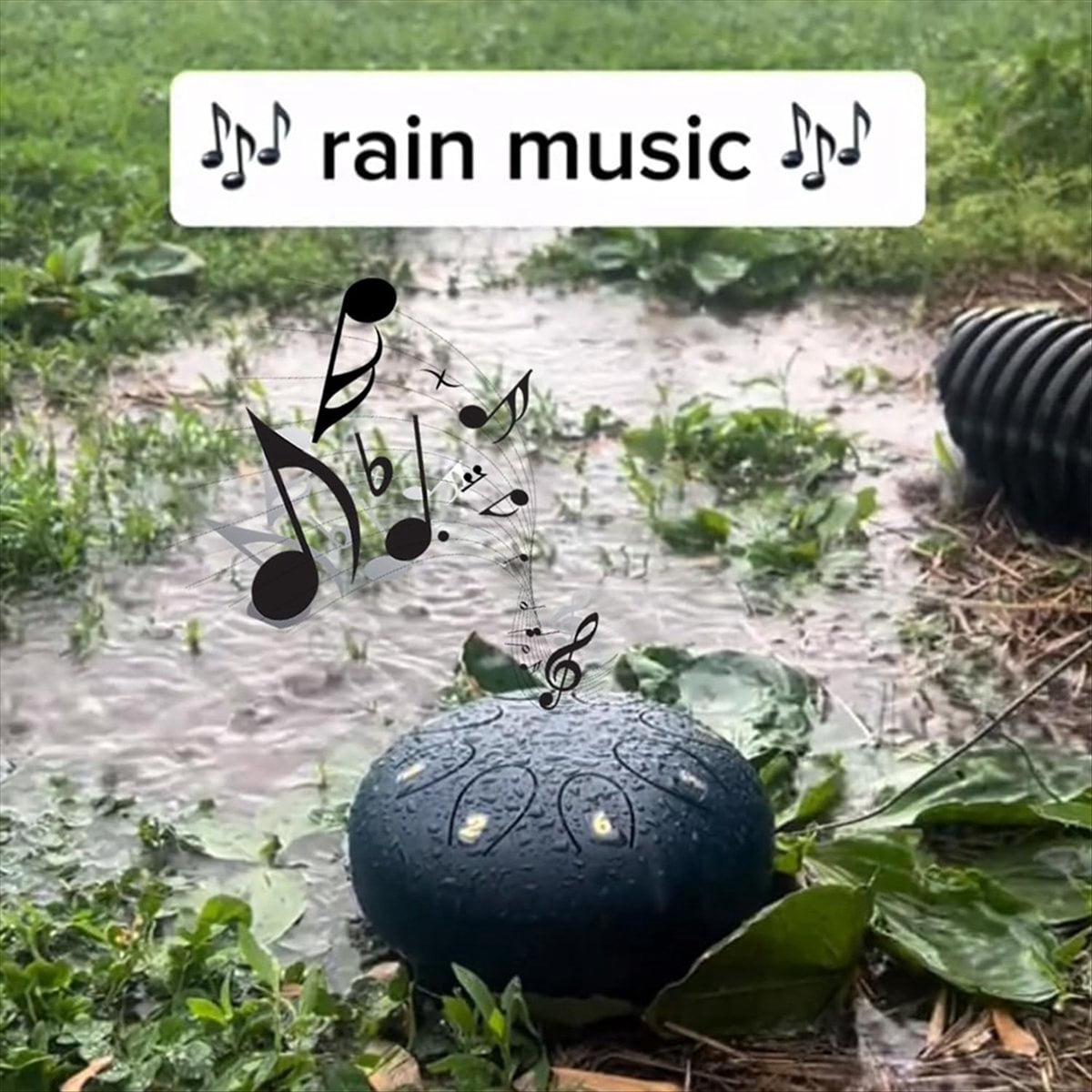 6 Inch 8 Tone Rain Drum Outdoor Chakra Garden Instrument Ethereal D