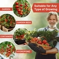 thumbnail image 6 of Large Cherry Tomato Seeds Pack 0.8g – 300+ Non-GMO Heirloom Vegetable Seeds for Planting Indoor or Outdoor Home Garden, 6 of 6