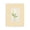 French Country Daisies Striped Blossom, variant on Stupell Industries Shabby Chic Minimal Mixed Bouquet Gray Floating Frame Canvas Art, 25 x 31, by RB