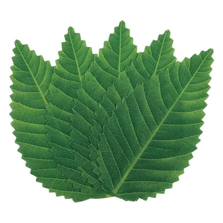 

1111Fourone 200Pcs Green Leaves for Food Sushi Decoration Plastic Simulation Leaves for Sashimi Seafood Sushi Decor Supplies
