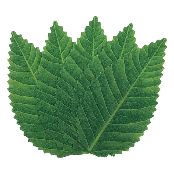 Paquete De 200 Accesorios De Cocina De Hoja Decorativa, Alfombrilla Para Comida, Herramientas De Calcomanía, Artesanía, Suministros De Sushi, Hojas Decorativas De Simulación De Hierba Guardurnaity HA036064-00