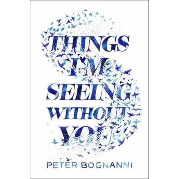 Pre-Owned Things I'm Seeing Without You (Hardcover) 0735228043 9780735228047