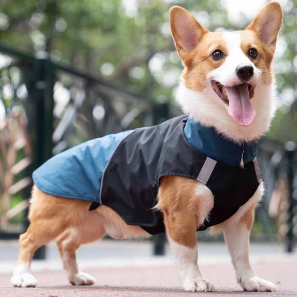 Tomshoo Cubierta de exterior, Dsfen impermeable Medio cuello de tortuga de exterior impermeable Anterior Cubierta de lluvia Anrio Cubierta de tortuple