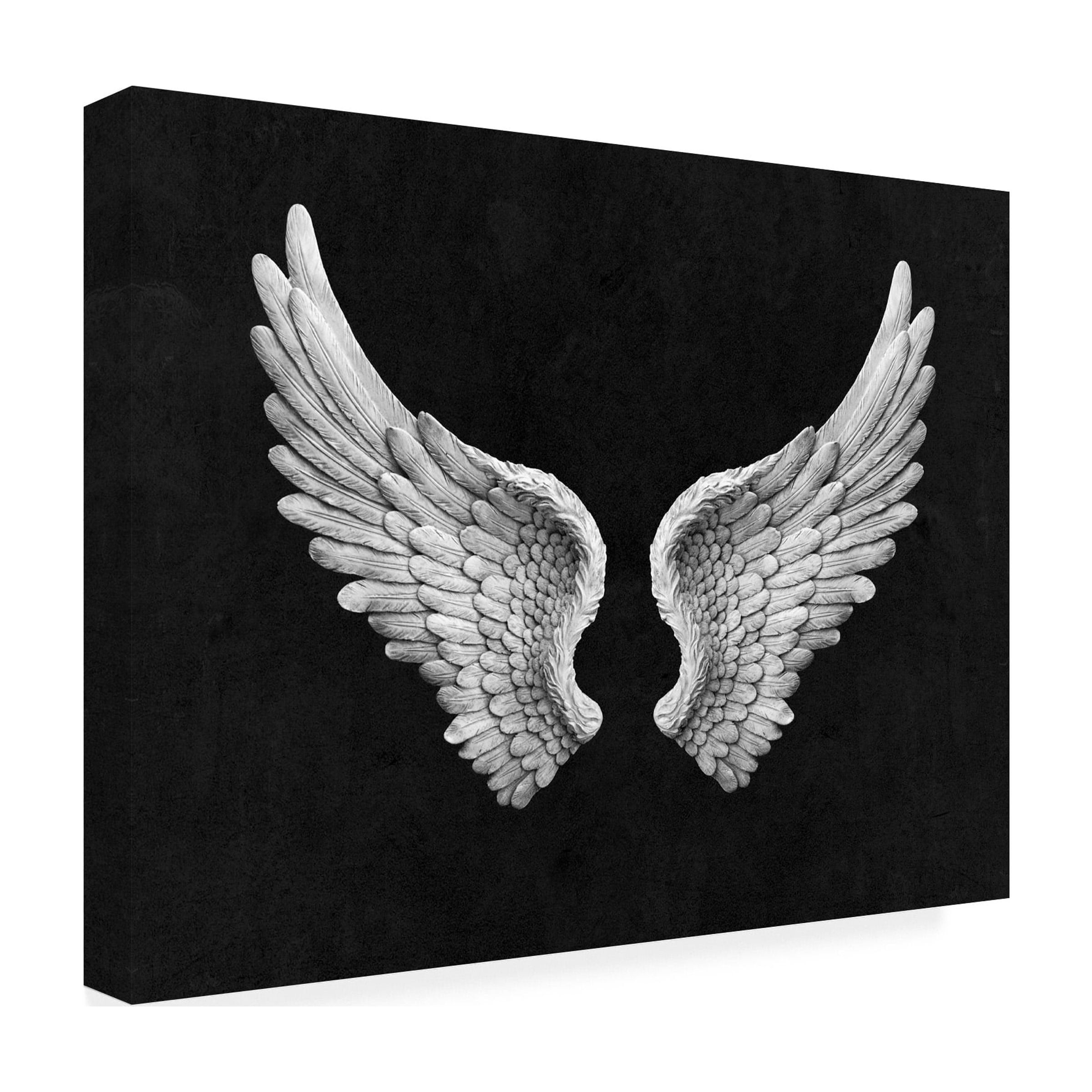 Canvas Wall Art - Tom Quartermaine 'Black and White Angel Wings on Black up' Wall Art for Living Room, Bedroom, or Office DÃ©cor by Trademark Fine Art - 32 x 24 Inches