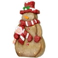 thumbnail image 4 of Northlight LED Lighted Gingerbread Snowman with Lollipop Christmas Figure - 15.5", 4 of 6